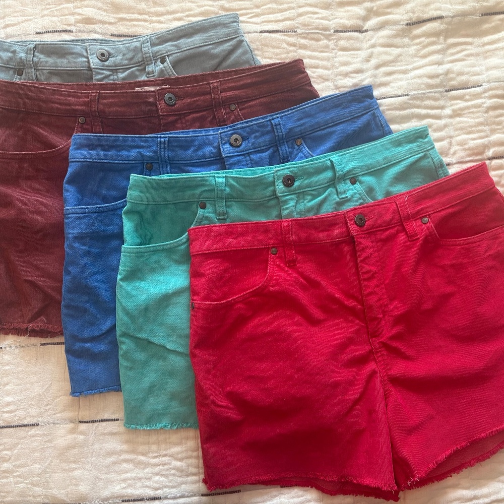Carve Designs Dogtown 4” shorts women’s size 12 lot cords